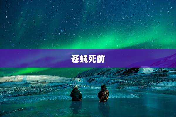 苍蝇死前
