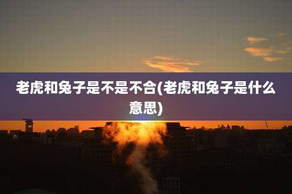 老虎和兔子是不是不合(老虎和兔子是什么意思)