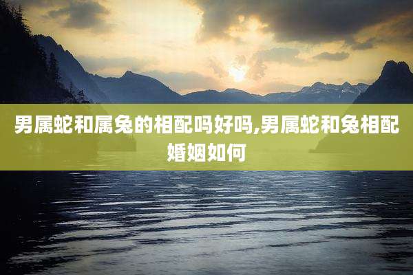 男属蛇和属兔的相配吗好吗,男属蛇和兔相配婚姻如何