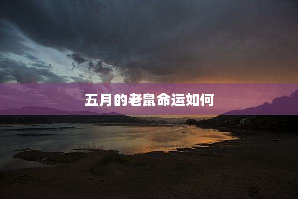 五月的老鼠命运如何
