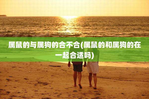 属鼠的与属狗的合不合(属鼠的和属狗的在一起合适吗)