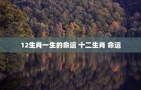 12生肖一生的命运 十二生肖 命运