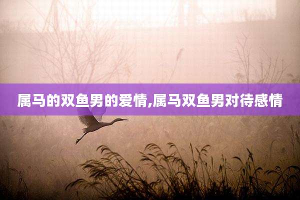 属马的双鱼男的爱情,属马双鱼男对待感情