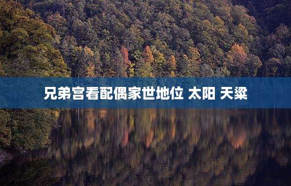 兄弟宫看配偶家世地位 太阳 天粱