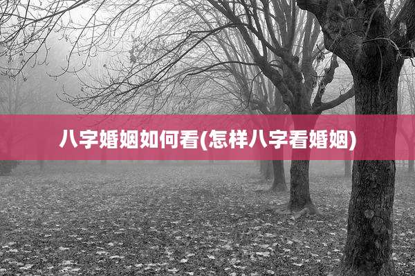 八字婚姻如何看(怎样八字看婚姻)