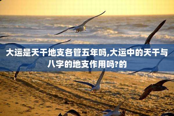 大运是天干地支各管五年吗,大运中的天干与八字的地支作用吗?的