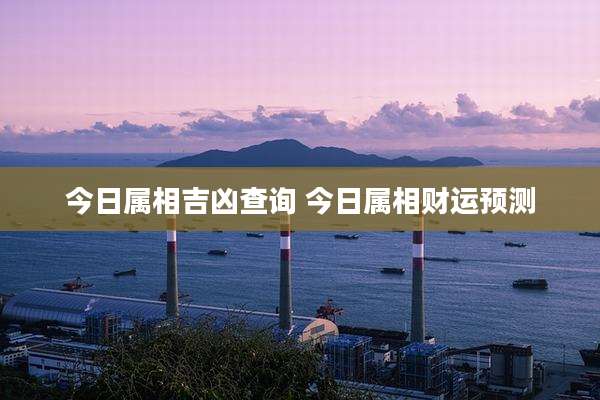 今日属相吉凶查询 今日属相财运预测