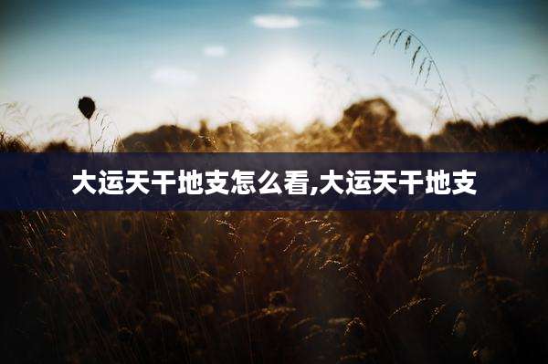 大运天干地支怎么看,大运天干地支