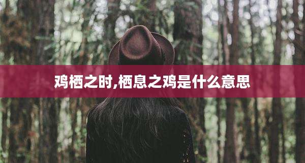 鸡栖之时,栖息之鸡是什么意思
