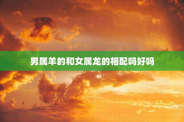 男属羊的和女属龙的相配吗好吗