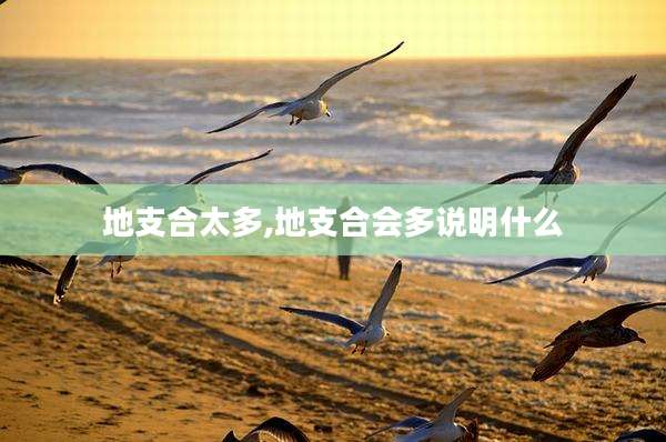 地支合太多,地支合会多说明什么