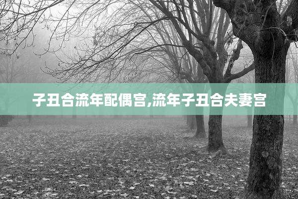 子丑合流年配偶宫,流年子丑合夫妻宫