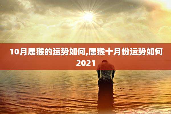 10月属猴的运势如何,属猴十月份运势如何2021