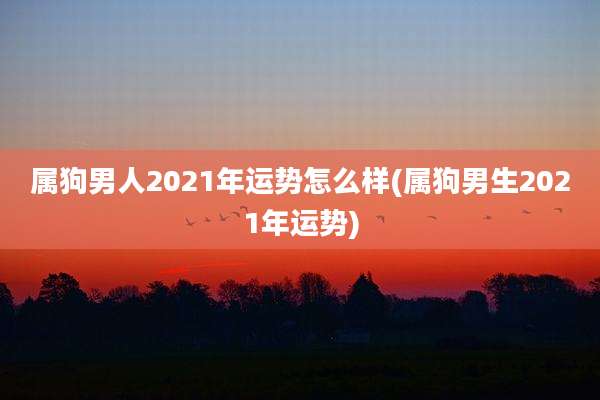 属狗男人2021年运势怎么样(属狗男生2021年运势)
