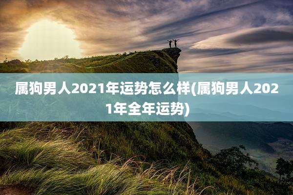 属狗男人2021年运势怎么样(属狗男人2021年全年运势)
