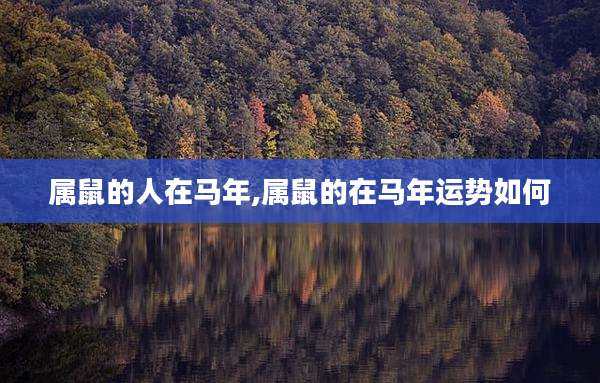 属鼠的人在马年,属鼠的在马年运势如何