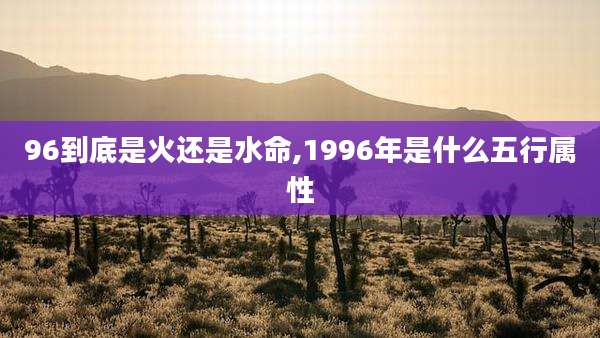96到底是火还是水命,1996年是什么五行属性