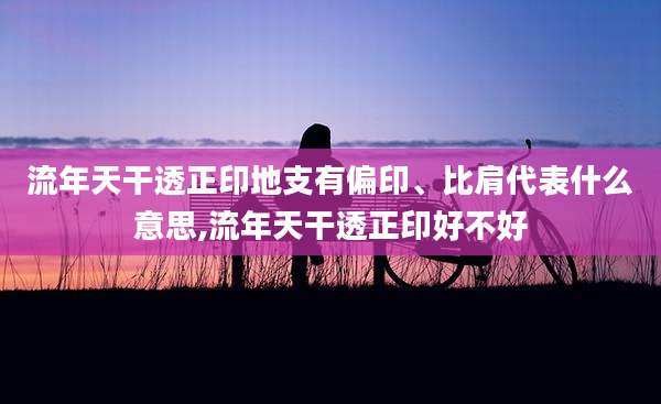 流年天干透正印地支有偏印、比肩代表什么意思,流年天干透正印好不好