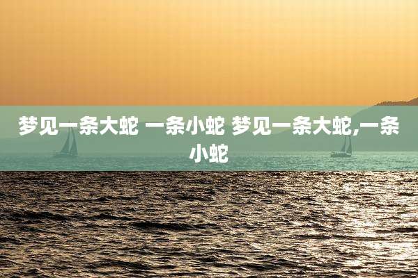 梦见一条大蛇 一条小蛇 梦见一条大蛇,一条小蛇