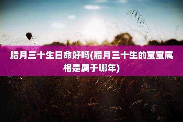 腊月三十生日命好吗(腊月三十生的宝宝属相是属于哪年)