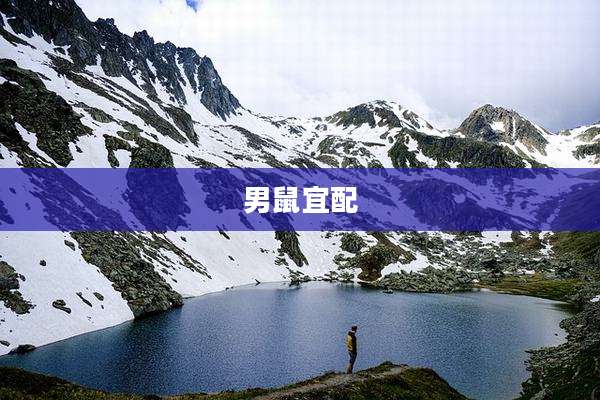 男鼠宜配