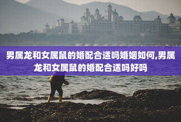 男属龙和女属鼠的婚配合适吗婚姻如何,男属龙和女属鼠的婚配合适吗好吗