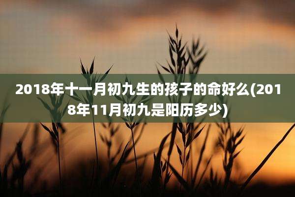 2018年十一月初九生的孩子的命好么(2018年11月初九是阳历多少)