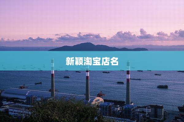 新颖淘宝店名