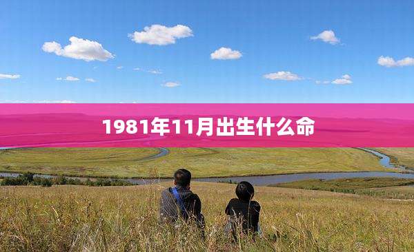 1981年11月出生什么命