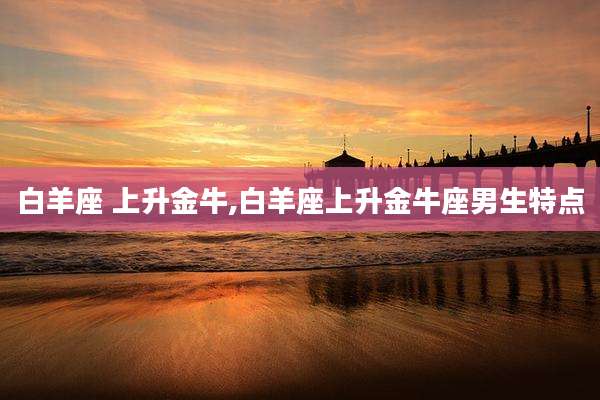 白羊座 上升金牛,白羊座上升金牛座男生特点