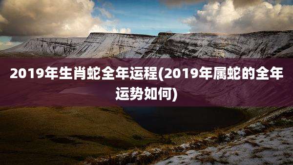 2019年生肖蛇全年运程(2019年属蛇的全年运势如何)