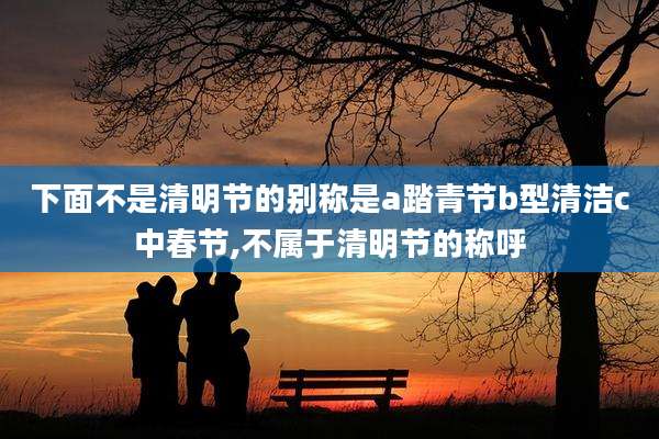 下面不是清明节的别称是a踏青节b型清洁c中春节,不属于清明节的称呼