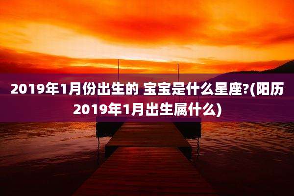 2019年1月份出生的 宝宝是什么星座?(阳历2019年1月出生属什么)
