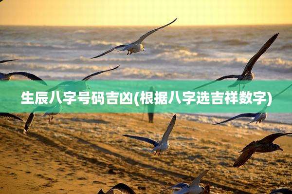 生辰八字号码吉凶(根据八字选吉祥数字)