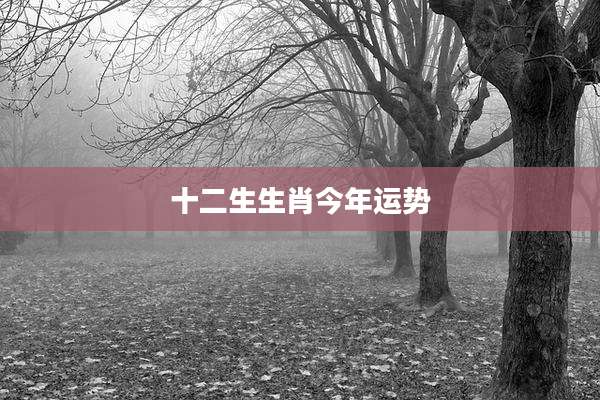 十二生生肖今年运势