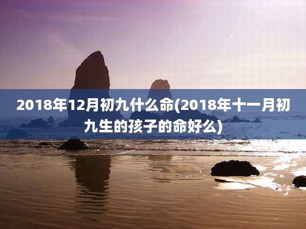 2018年12月初九什么命(2018年十一月初九生的孩子的命好么)