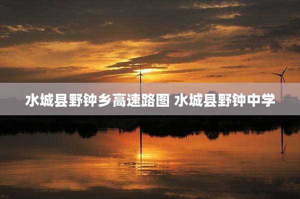 水城县野钟乡高速路图 水城县野钟中学