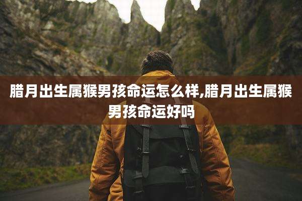 腊月出生属猴男孩命运怎么样,腊月出生属猴男孩命运好吗