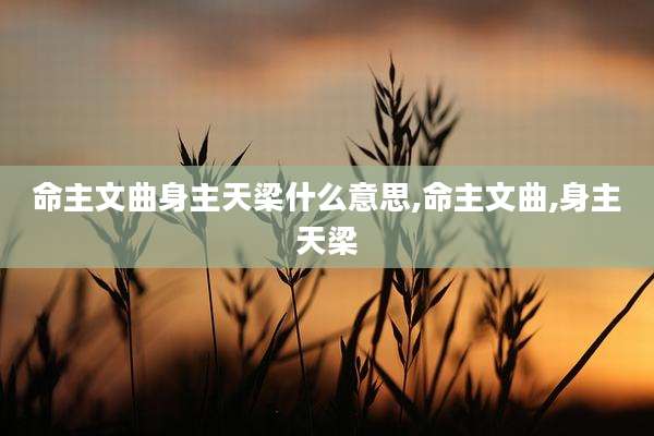 命主文曲身主天梁什么意思,命主文曲,身主天梁