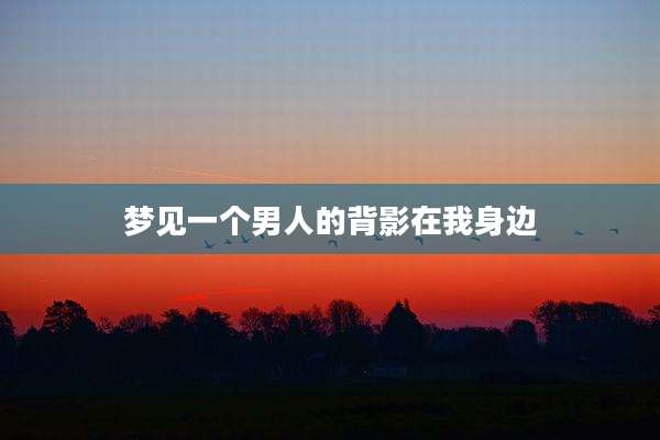 梦见一个男人的背影在我身边