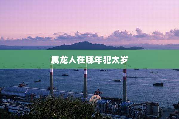 属龙人在哪年犯太岁
