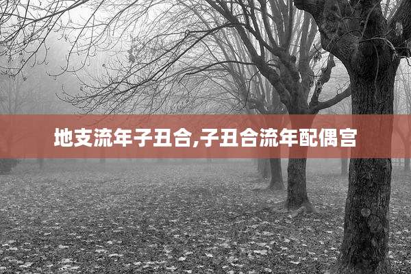 地支流年子丑合,子丑合流年配偶宫