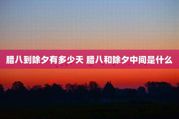 腊八到除夕有多少天 腊八和除夕中间是什么