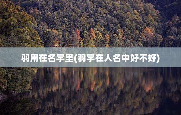 羽用在名字里(羽字在人名中好不好)