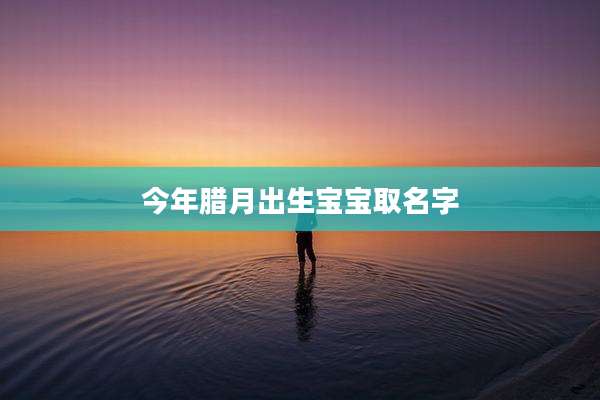今年腊月出生宝宝取名字