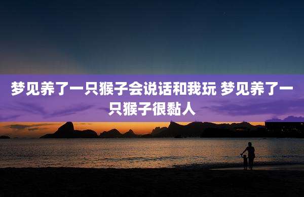 梦见养了一只猴子会说话和我玩 梦见养了一只猴子很黏人
