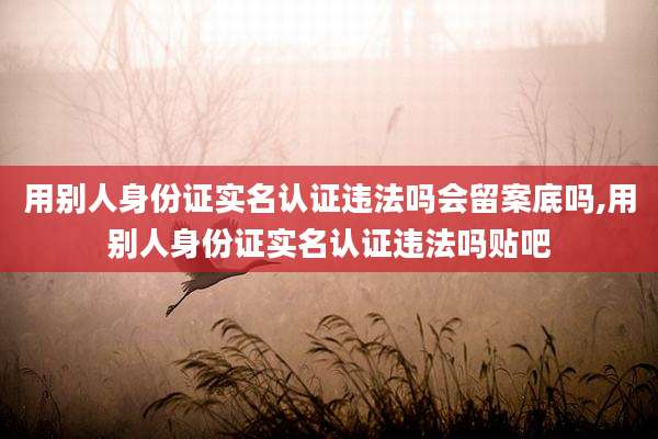 用别人身份证实名认证违法吗会留案底吗,用别人身份证实名认证违法吗贴吧