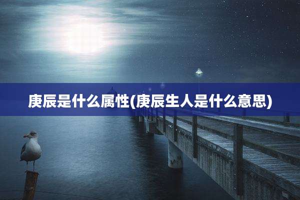 庚辰是什么属性(庚辰生人是什么意思)