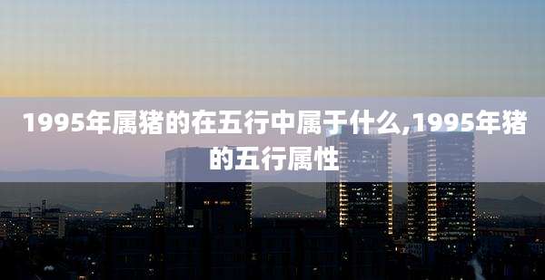 1995年属猪的在五行中属于什么,1995年猪的五行属性