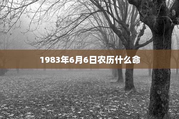 1983年6月6日农历什么命